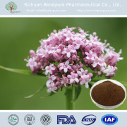 Valerian Root Extract Valeric Acid