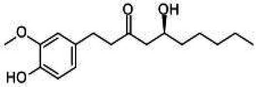 Ginger Root Extract Gingerol