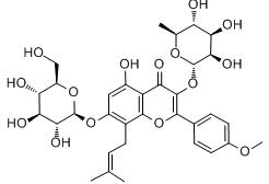 Horny Goat Weed Extract Epimedium Icariin