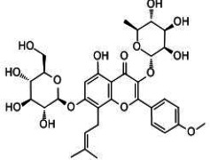 Horny Goat Weed Extract Epimedium Icariin