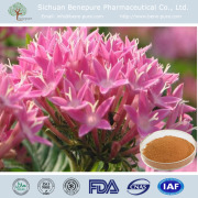 Rhodiola Rosea Extract Rosavin