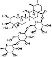 Gotu Kola Extract Asiaticoside