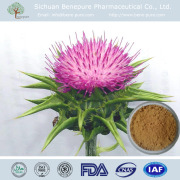 Milk Thistle Extract Silymarin