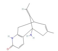 Huperzia Serrate Extract Huperzine A