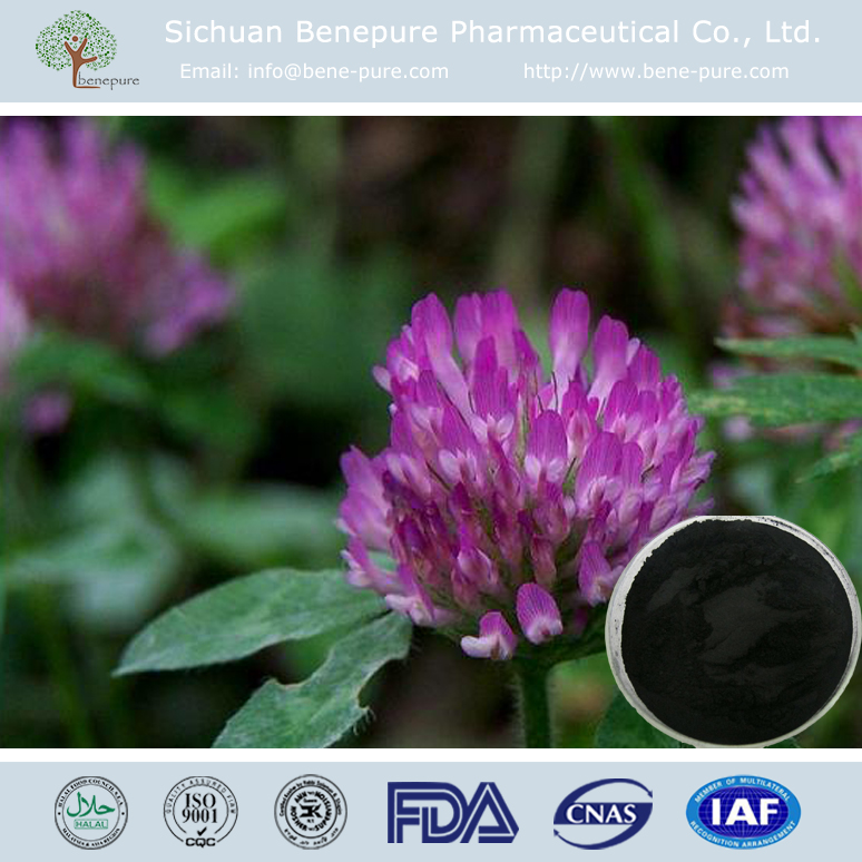 Red Clover Extract