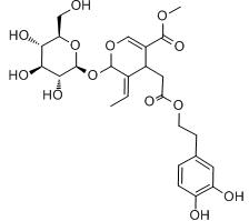 Olive Leaf Extract Oleuropein