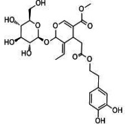 Olive Leaf Extract Oleuropein