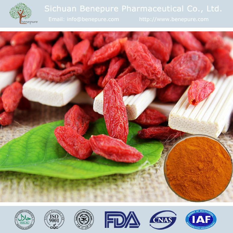 Wolfberry polysaccharide Fungi Extract Betaine