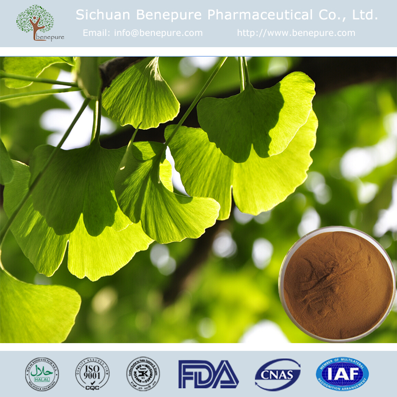 Ginkgo Biloba Extract