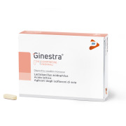 GINESTRA®