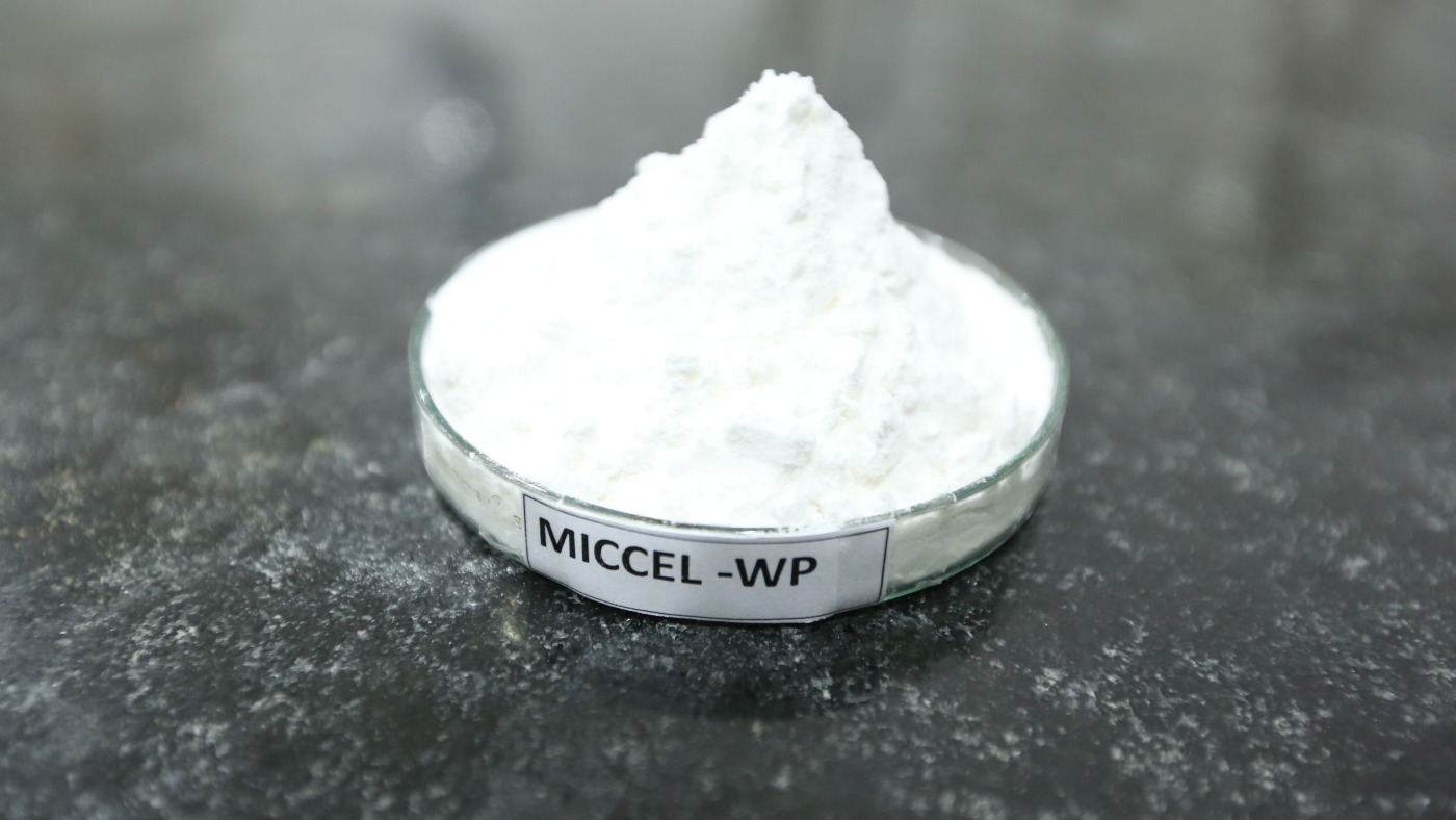 MICCEL WP