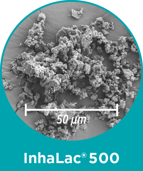 InhaLac 500 - micronized Lactose for DPI