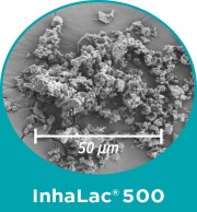 InhaLac 500 - micronized Lactose for DPI