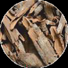 Prunus (Pygeum) Bark Extract