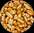 Fenugreek Seeds Extract