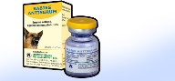 Rabies Antiserum 1000 I.U. In 5 Ml Vial