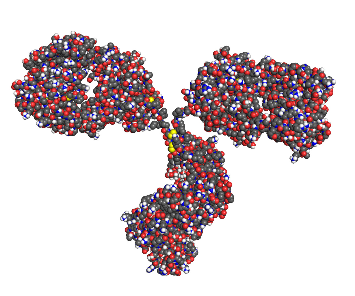 Characterization of Biologics and Biosimilars