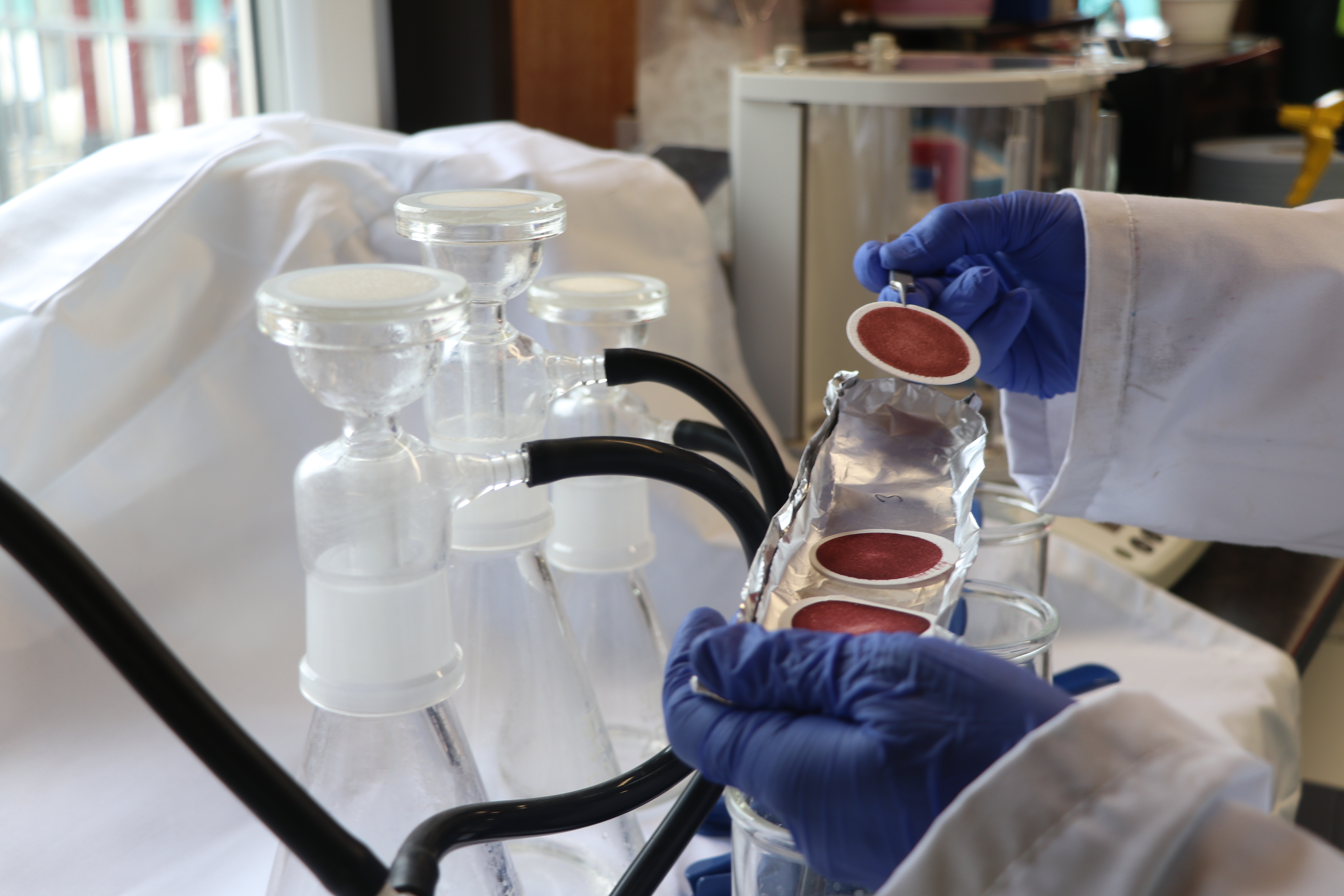 lab technician handling red filters, for a filtration process.