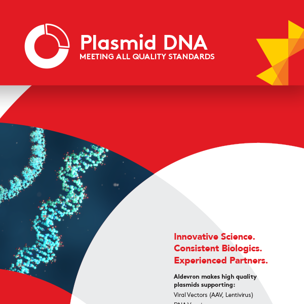 Plasmid DNA - Meeting All Quality Standards