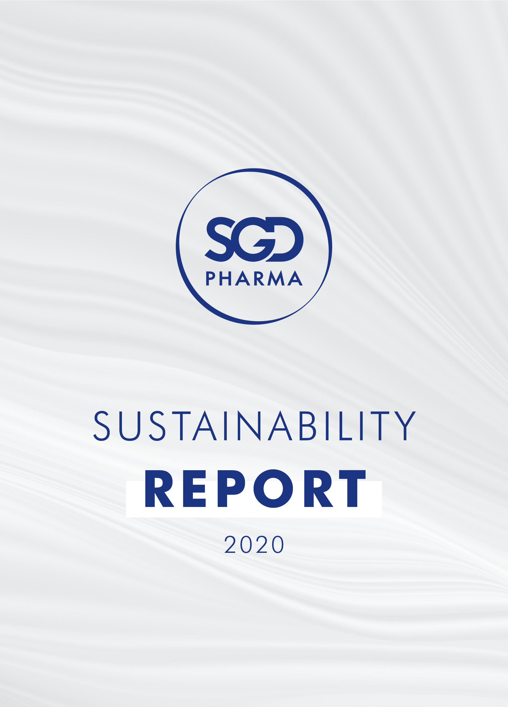 CSR Report 2020