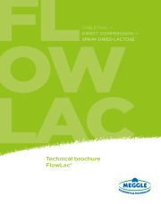 MEGGLE FlowLac Brochure