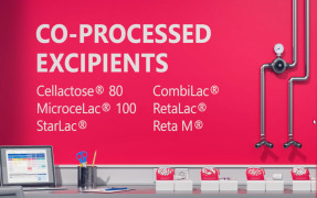 MEGGLE Co-processed Excipients