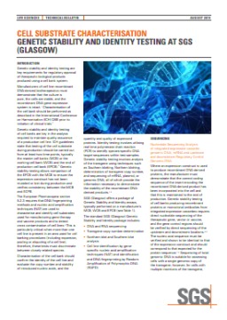 Cell substrate Characterization - Genetic Stability and Identity Testing at SGS