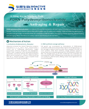 PDRN for wound healing, dermal fillers, dermatology & articular issues