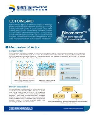 ECTOINE the ideal partner of hyaluronic acid