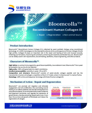 Recombinant human collagen type 3: animal free source of collagen