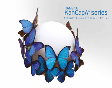 KANEKA KanCapA ( Protein A resin )