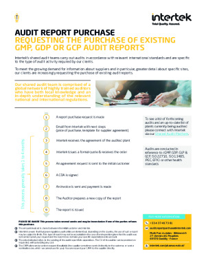 Audit Report Purchase