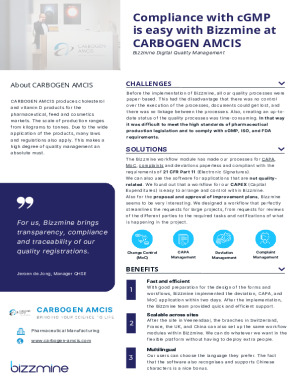 Bizzmine case study CARBOGEN AMCIS