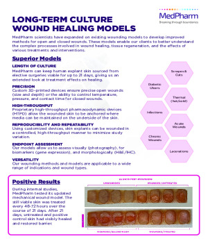 Wound Healing Model - Info Sheet