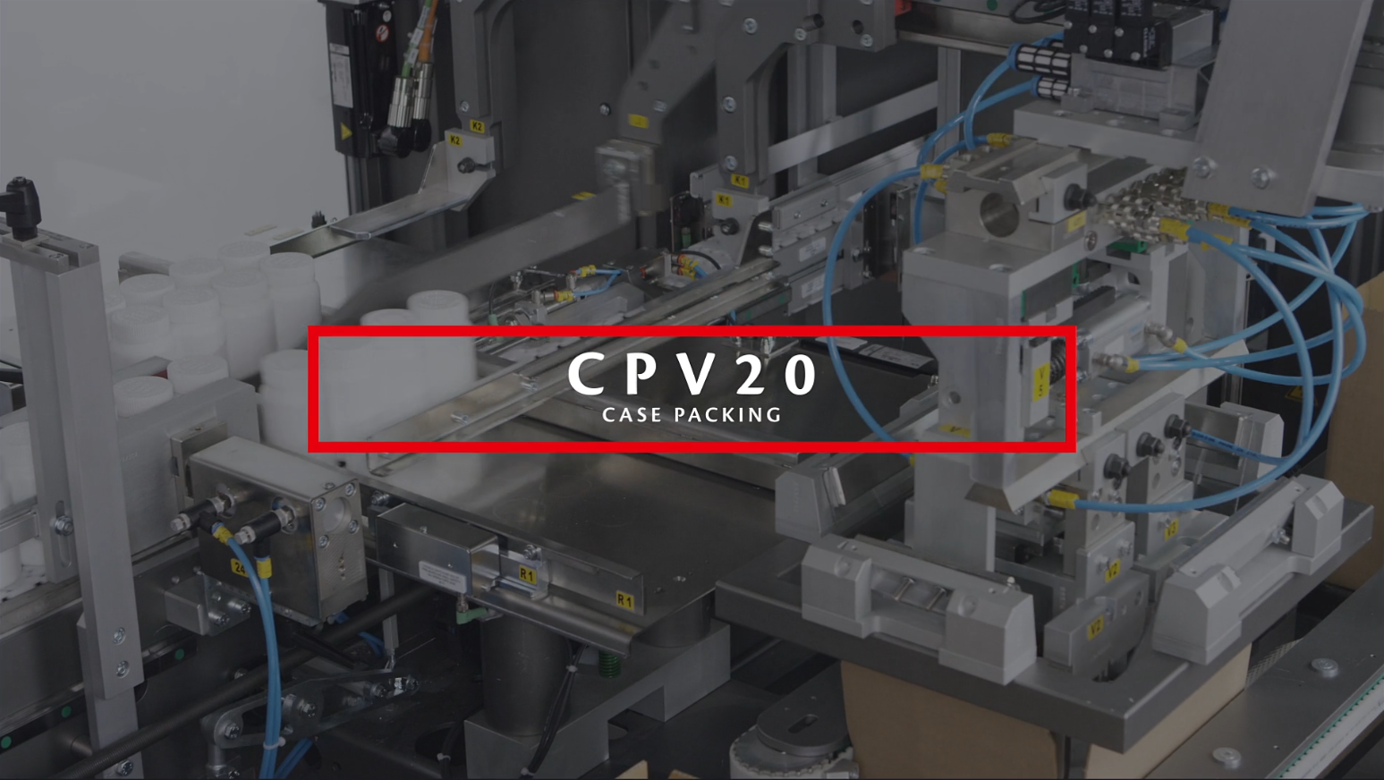 CPV20